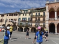 SAM_1065